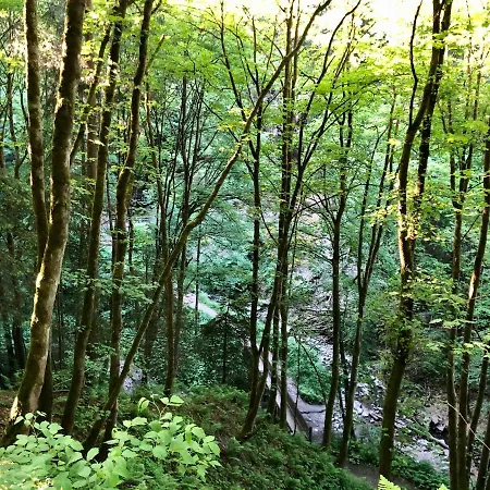 فندق Natura