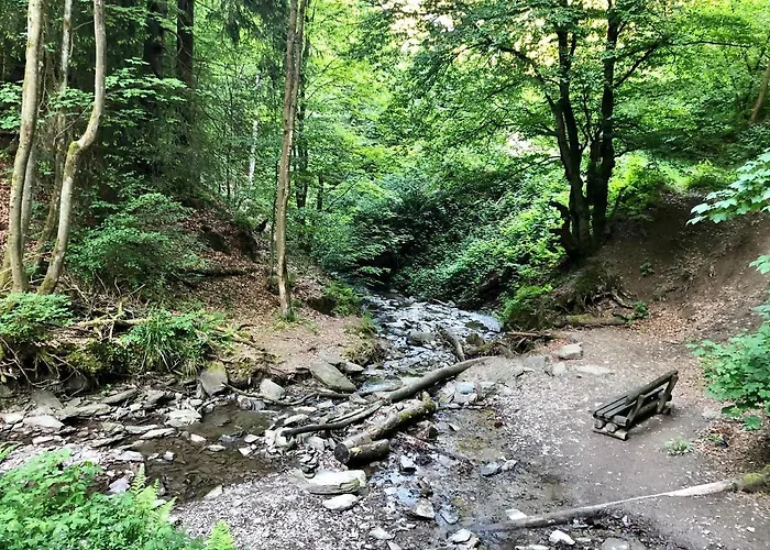 Natura وينتربرغ