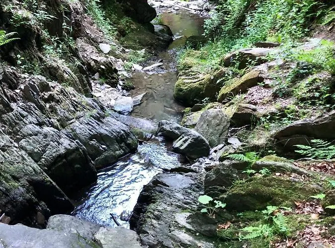 Szálloda Natura Winterberg